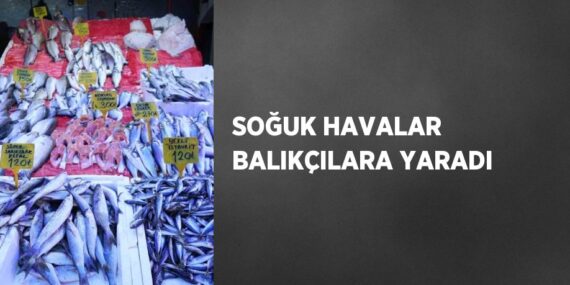 SOĞUK HAVALAR BALIKÇILARA YARADI
