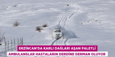 31133222963093021124tasarimli