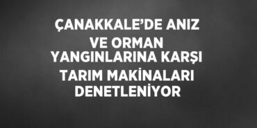 31137211602423427852tasarimli