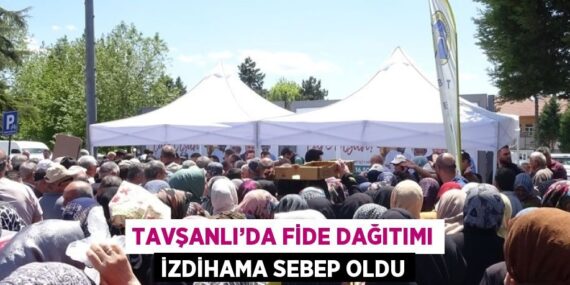 TAVŞANLI’DA FİDE DAĞITIMI İZDİHAMA SEBEP OLDU