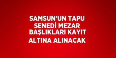 31143296122558129302tasarimli