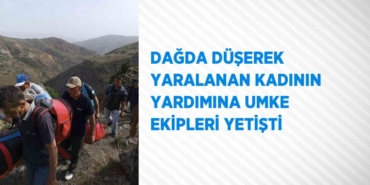 31146269052746425377