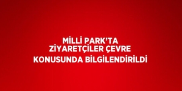 31149231582249428283tasarimli