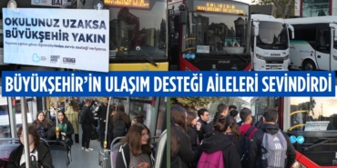 31153233502608823109