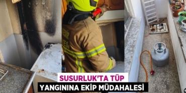 31153256332901424531tasarimli