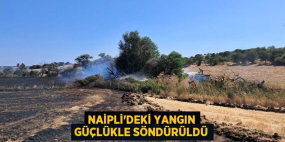 Naipli’deki yangın güçlükle söndürüldü