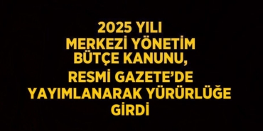 31163231022443121087tasarimli