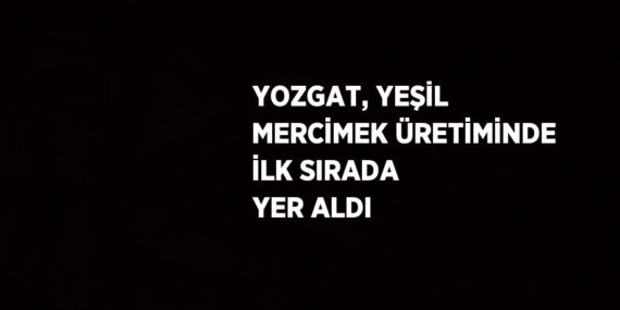 YOZGAT, YEŞİL MERCİMEK ÜRETİMİNDE İLK SIRADA YER ALDI