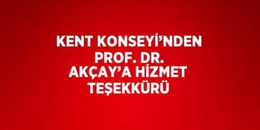31166231222428430549tasarimli