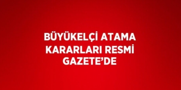 31166232783134922999tasarimli