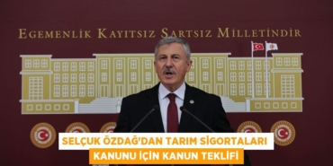 31167291772457131696tasarimli