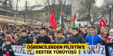 31174263202065120056tasarimli