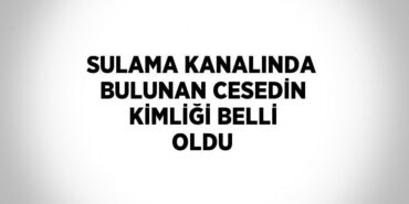 31174294742723130135tasarimli