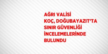 31178306402205622882