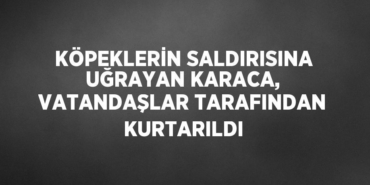 31181214782487822403tasarimli