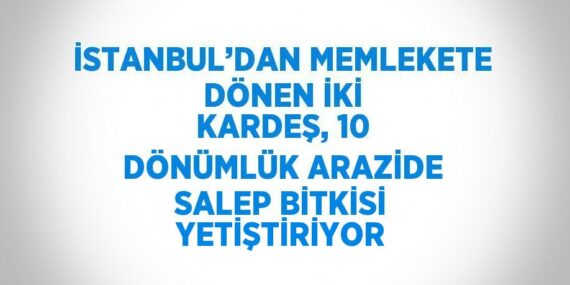 İSTANBUL’DAN MEMLEKETE DÖNEN İKİ KARDEŞ, 10 DÖNÜMLÜK ARAZİDE SALEP BİTKİSİ YETİŞTİRİYOR