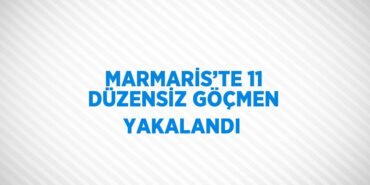 31185286892253829502tasarimli