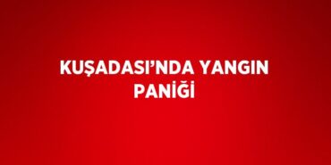 31188296642952427254tasarimli
