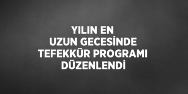 31189212742651827559tasarimli