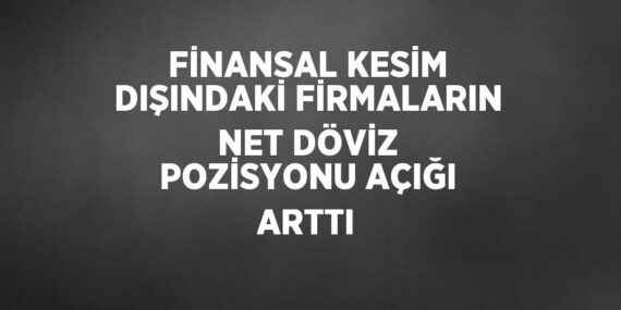 FİNANSAL KESİM DIŞINDAKİ FİRMALARIN NET DÖVİZ POZİSYONU AÇIĞI ARTTI