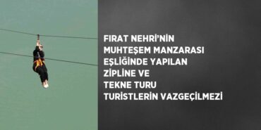 31193300572075931384