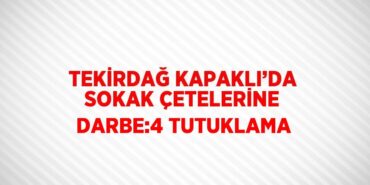 31194303672701021071tasarimli