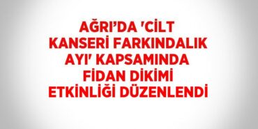 31196240482742830545tasarimli