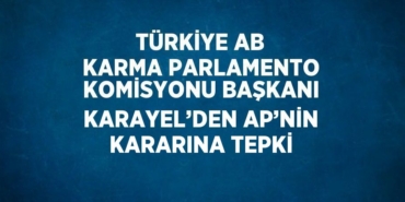 31197260862210724971tasarimli