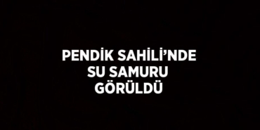 31205219522335228293tasarimli