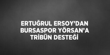 31208297772067627453tasarimli