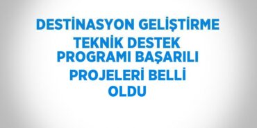 31210249462887323130tasarimli