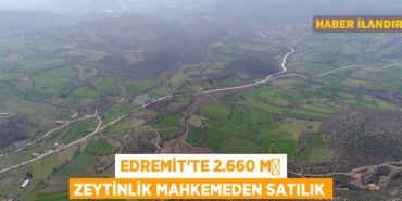 31211212082282631049tasarimli