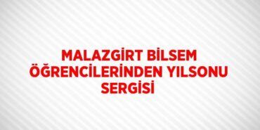 31212231743112127255tasarimli