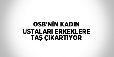 31214225552286527510tasarimli