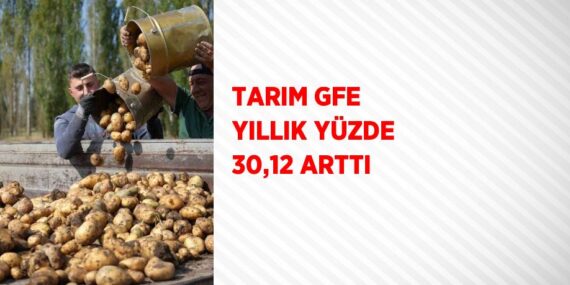 TARIM GFE YILLIK YÜZDE 30,12 ARTTI