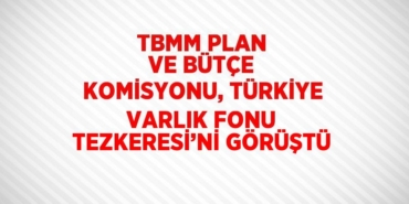 31215279852809527856tasarimli