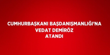 31215281083049521048tasarimli