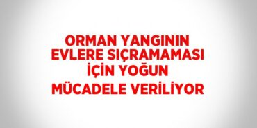 31223301422107923793tasarimli