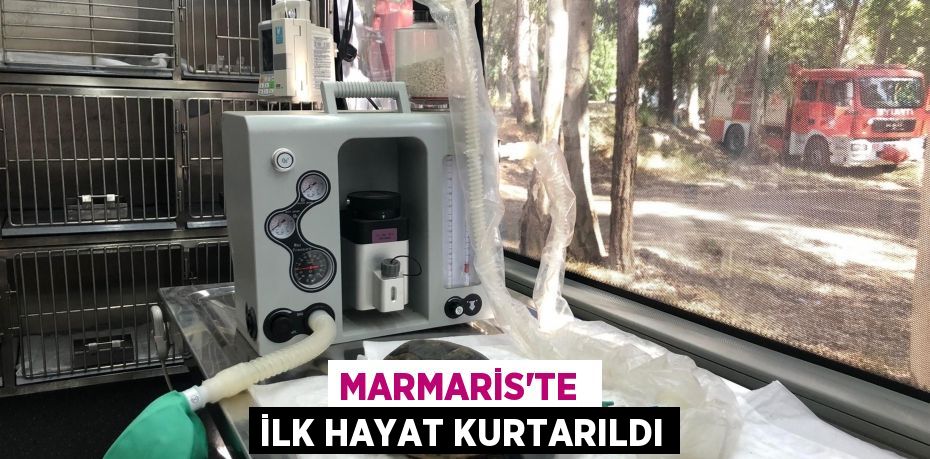 31224234652931129063tasarimli