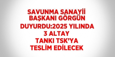 31225308702848123561tasarimli