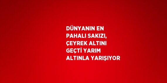 DÜNYANIN EN PAHALI SAKIZI, ÇEYREK ALTINI GEÇTİ YARIM ALTINLA YARIŞIYOR