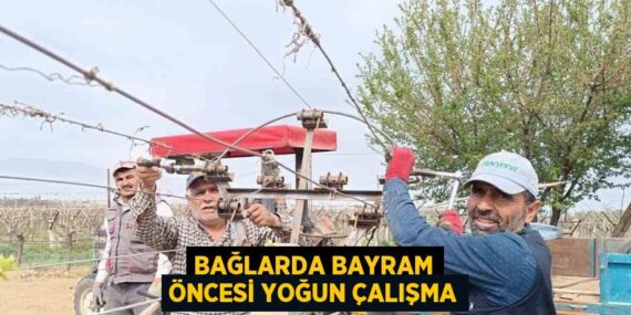 BAĞLARDA BAYRAM ÖNCESİ YOĞUN ÇALIŞMA