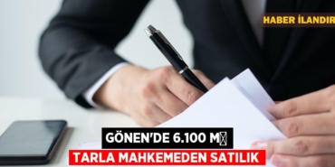 31235287832046221481tasarimli