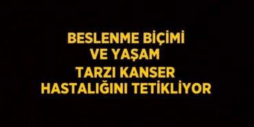 31239295332927521172tasarimli