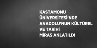 31241298452322527335