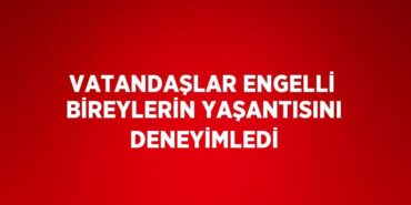 31242212702532420674tasarimli