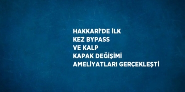 31243319583118430113