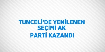 31249318912737529449tasarimli