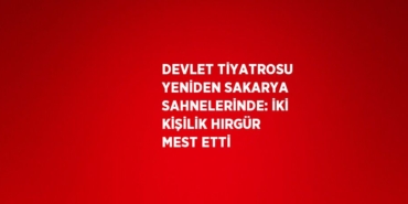 31252230893047727175