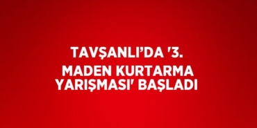 31254217182728621415tasarimli